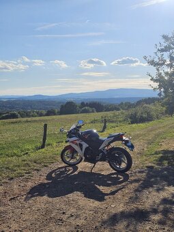 Honda CBR 250r 2011 - 2