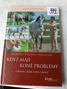 Koně ježdění westernové ježdění péče - 2