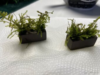 Mech uchyceny v cihlickach - 2