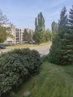 Pronájem 1+1 Krasická, Prostějov - 2