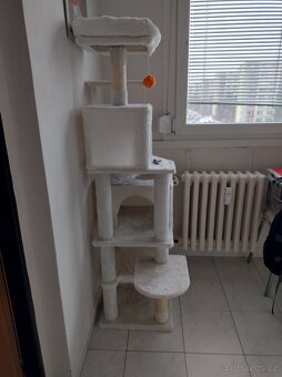 Kočičí výbava - 2