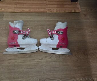 Brusle dívčí - 2
