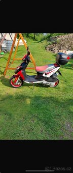 KENTOYA SHARKY125cm2 - 2