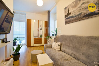 pronájem bytu 1+1 s předzahrádkou, 134004 - 2