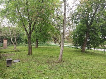 Zahrada, zahrádka - 2