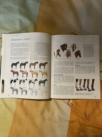 Kniha svět koní - 2