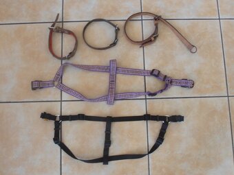 potřeby pro psa - 2