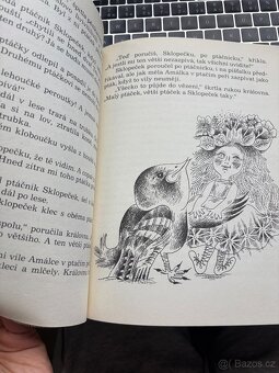 O víle Amálce - 2