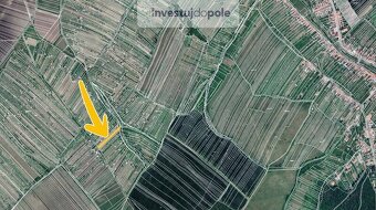 Prodej vinice v k.ú. Strážnice na Moravě - 2