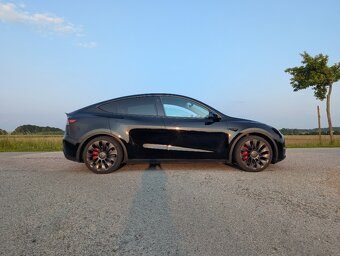 Tesla Model Y Performance - 2