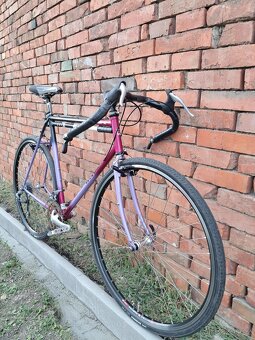 Winora Terra XC - 2