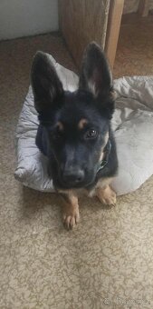 3 měsíční stene - 2