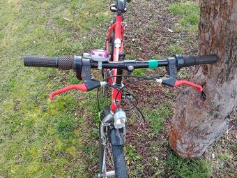 pánské horské kolo Olpran - 2