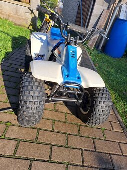 SUZUKI LT 50 MINI QUAD - 2