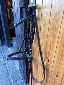 Anglická uzdečka - 2