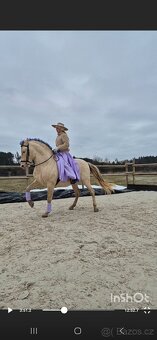 Prodej chlazených a mražených inseminačních dávek - 2