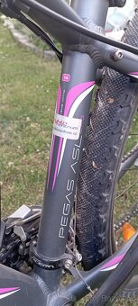 Author Pegas asl 14 - 2