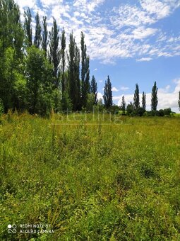 Prodej komerčního pozemku o výměře 5093 m2 v obci Libouchec, - 2