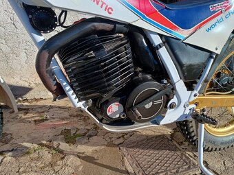 Trial Fantic 303 - 2