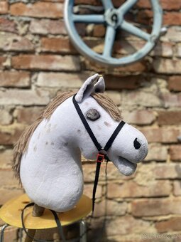 Hobby horse - 2
