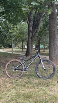 Ctm Dirtking - 2