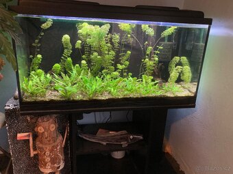 Akvárium 200 l / PRODÁNO - 2