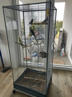 Velká klec + 6 papoušků - 2