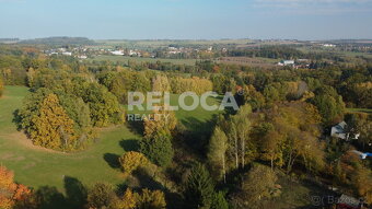 Pronájem rozlehlé louky, Ježdíkova skála, 27014m2, Těptín, P - 2
