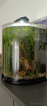 Akvárium set Tetra 60l komplet - 2