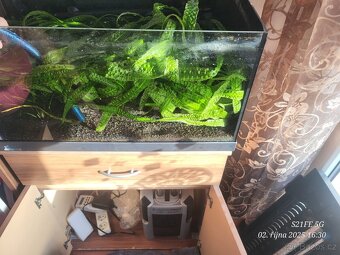 Akvarium 60 litru+ filtr crystalprof e702 - 2