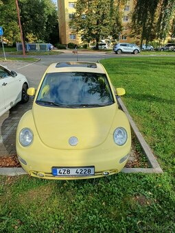 New Beetle - 2