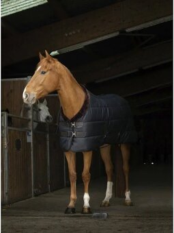 Stájová deka pro koně EQUITHME TEDDY 200g - 2