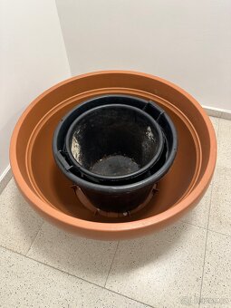 Plastové květináče na olivovníky - 2