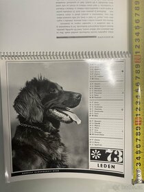 Prodám krásný kalendář z roku 1973 - 2