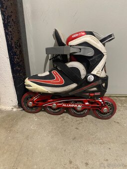Kolečkové brusle, waveboard - 2