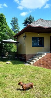 Chata u řeky Lužnice - 2