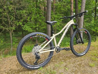 DĚTSKÝ TRAIL BIKE DARTMOOR SPARROW - 2