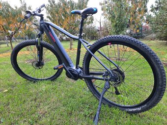 Pells Thorr Base - 2