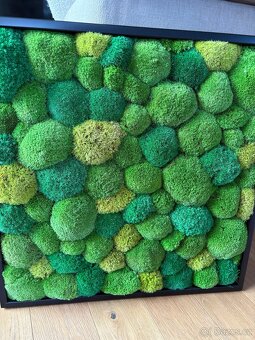 Mechový obraz 56x56 cm - 2