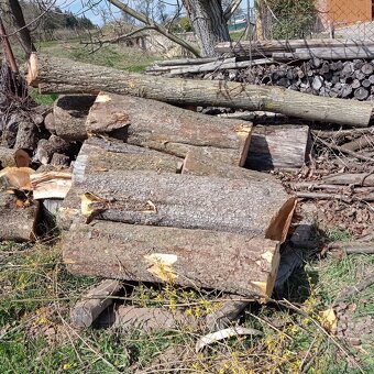 dřevěný špalek - 2