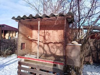 Voliéra pro okrasné ptactvo - 2