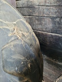 Pneumatika 710/70 R42 Michelin - 2