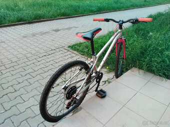 Kolo Rock Machine Thunder 24 - 2