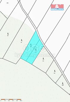 Prodej lesa v Stříteži a Kožichovicích - 2