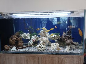 akvárium s vybavením 120x60x60 - 2