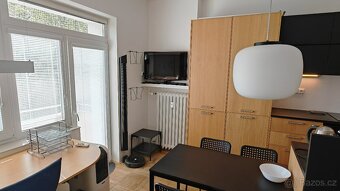 Pronájem bytu: garsonka 1+kk poblíž Lužánek - 2