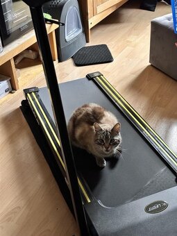 Běžecký pás Lifefit TM1200 - 2