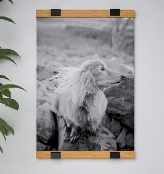 VISBÄCK sada na zavěšení plakátu (NOVÁ; 61 cm) - 2