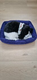 Dýchací pejsek Perfect Petzzz - 2
