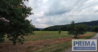 Stavební pozemek 820 m2 a louka 1169 m2 Všemyslice - 2
